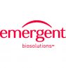 Emergent_Square Emergent_Square